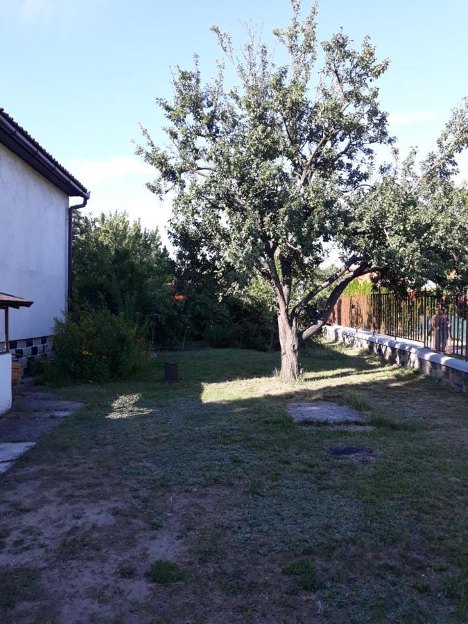 Retrovilla Balatonkenese Exterior photo